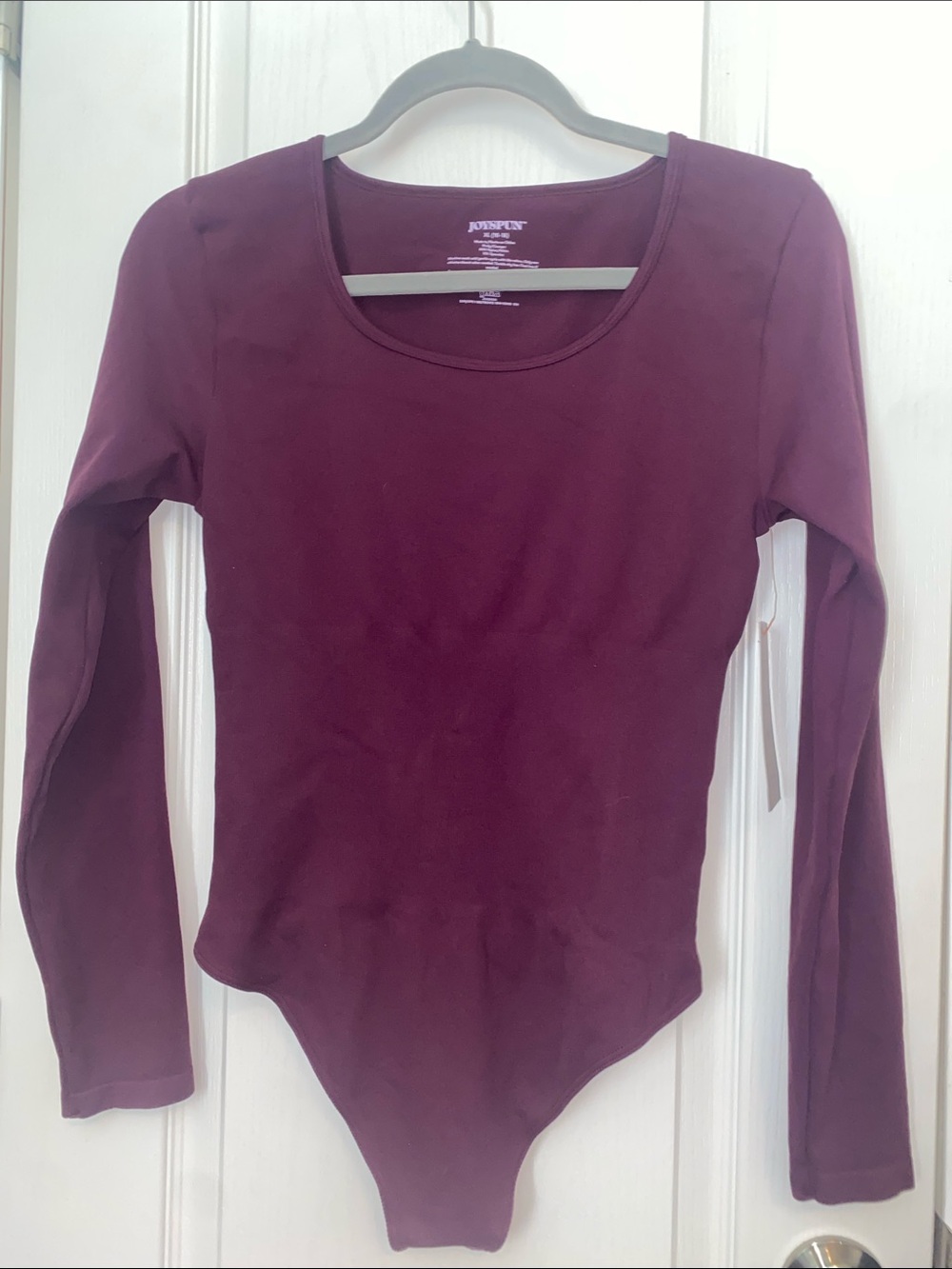 Seamless Long Sleeve Scoop Neck Bodysuit